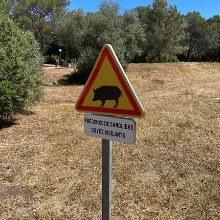 Mobile Dans Un Coin De Paradis Camping